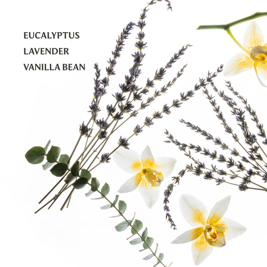 Pure Lavender Touchland