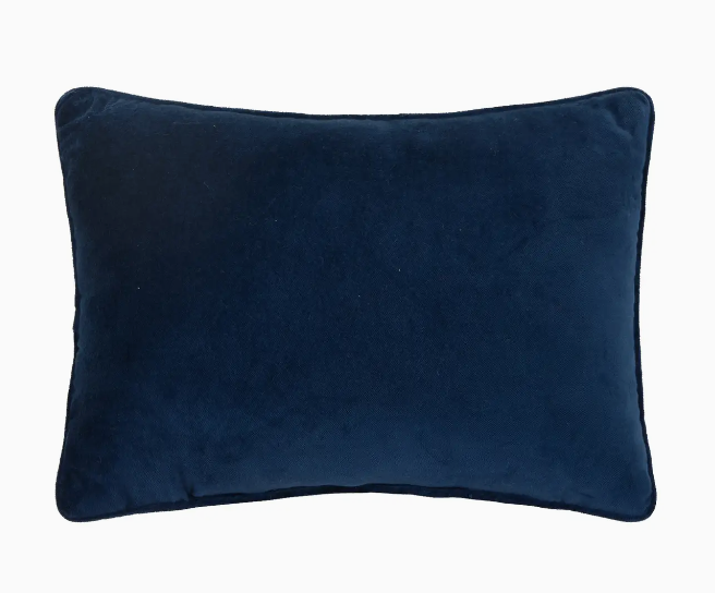 Sassy & Classy Pillow