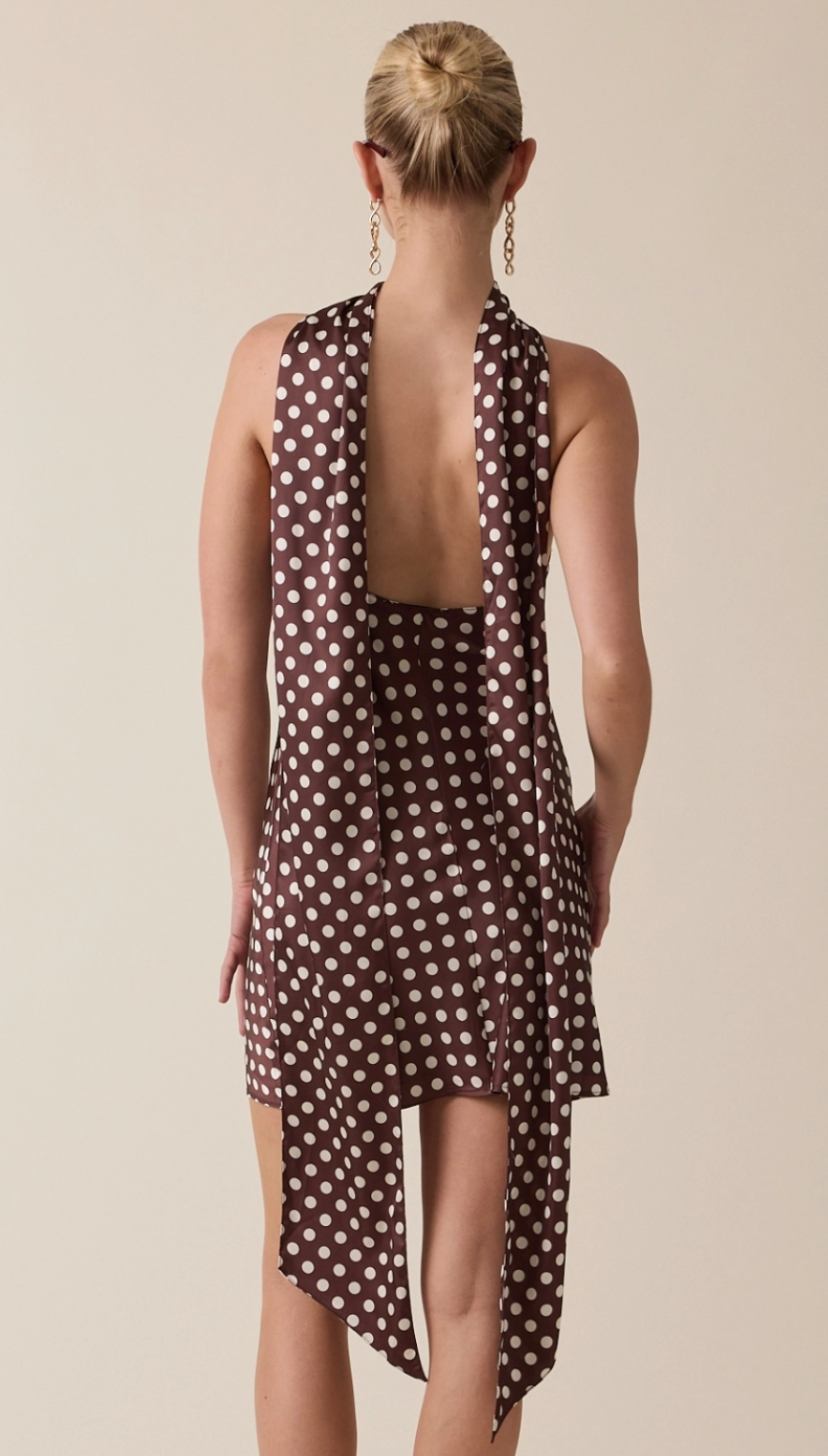 Tara Dot Dress