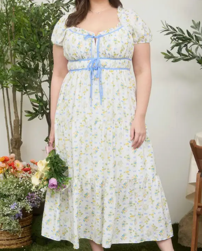 Willow Curvy Dress