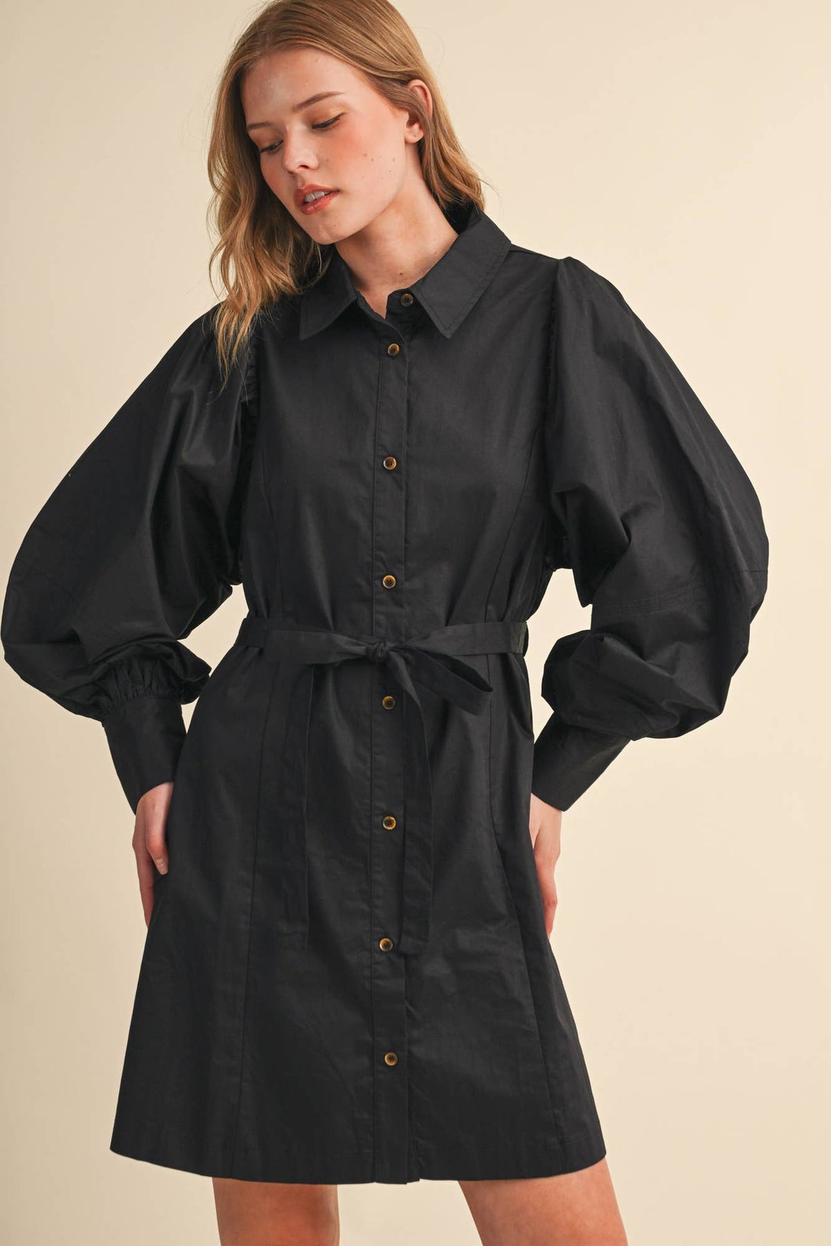 Reputation Dress