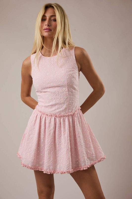 Blush Gingham Mini Dress