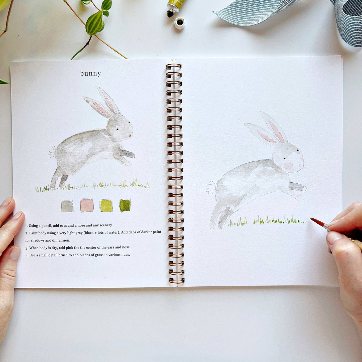 Animals Workbook