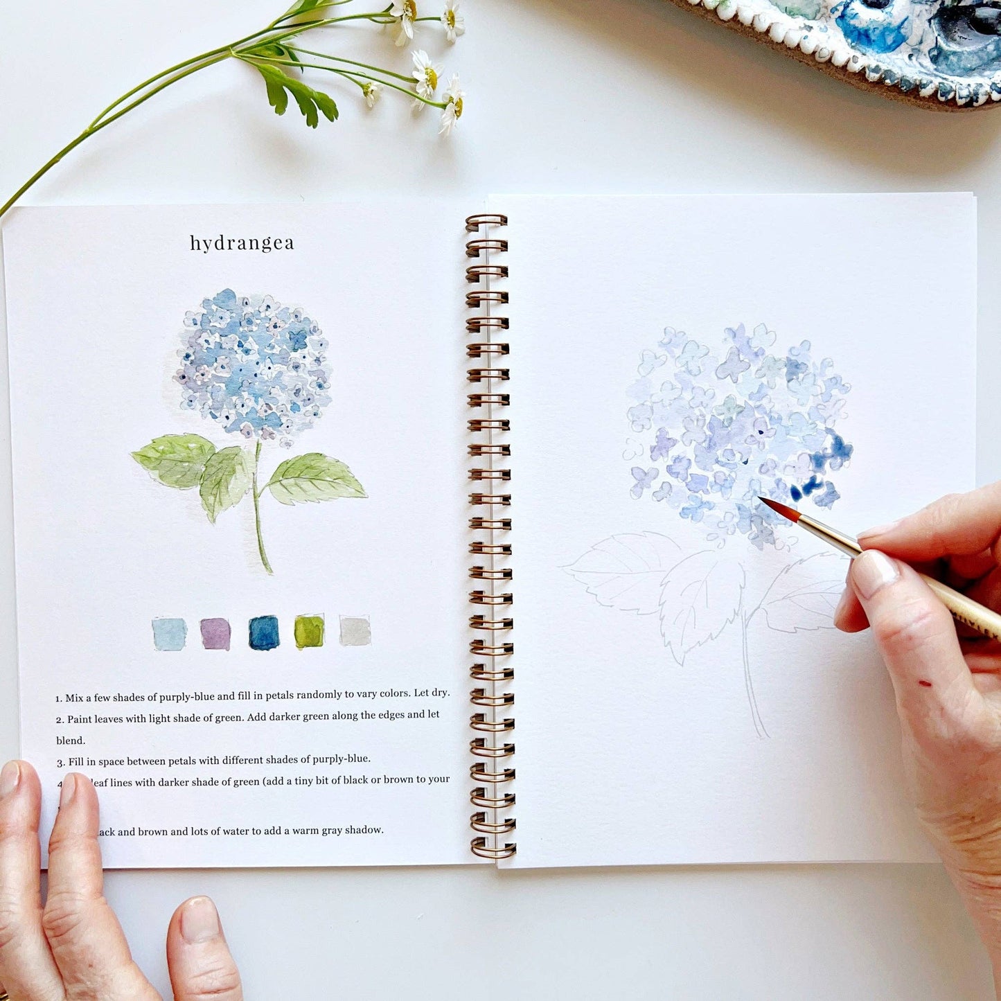 Flowers Workbook
