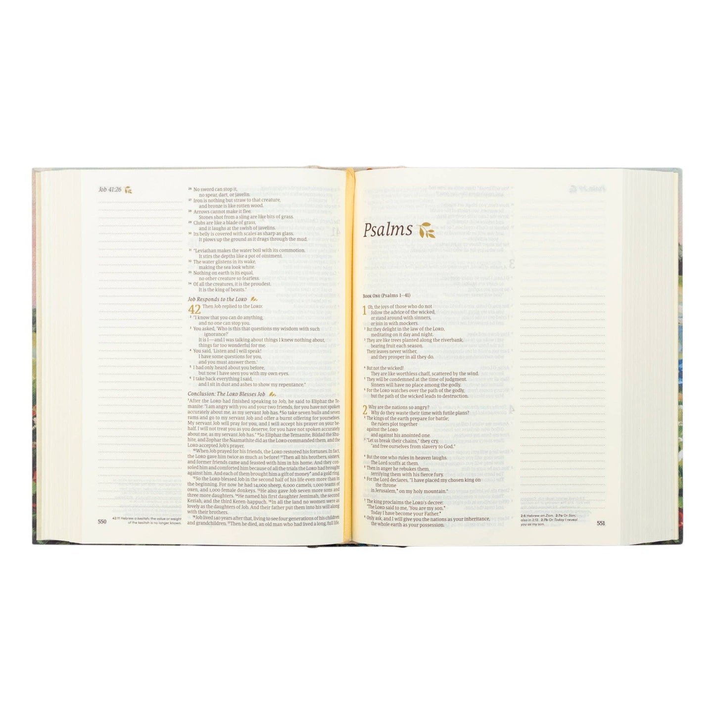 NLT Notetaking Bible: Coram