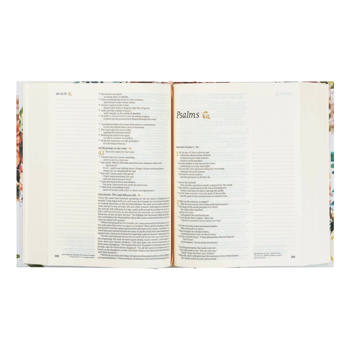 NLT Notetaking Bible: Madrid