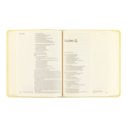NLT Notetaking Bible: Belfast