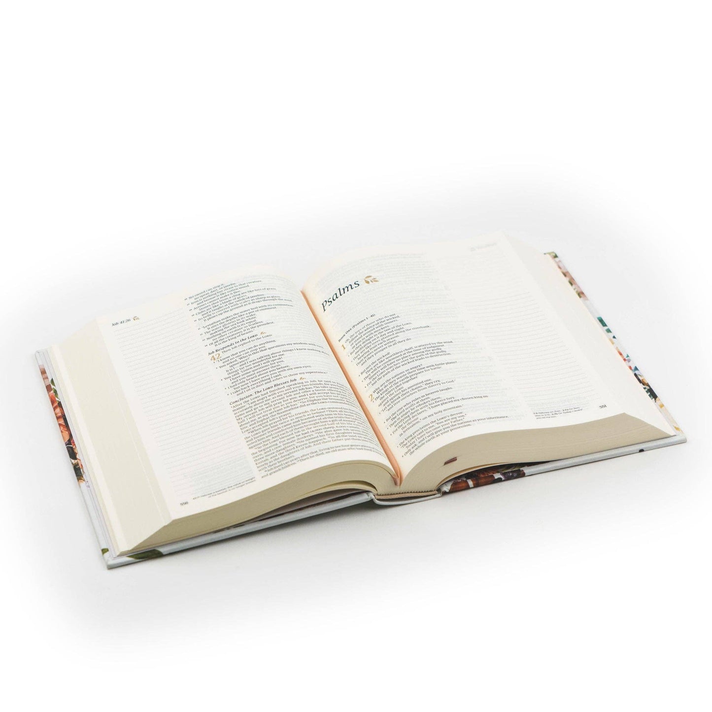 NLT Notetaking Bible: Madrid
