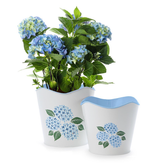 Scalloped Hydrangea Planter