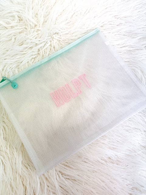 Needlepoint Project Pouch: WIP