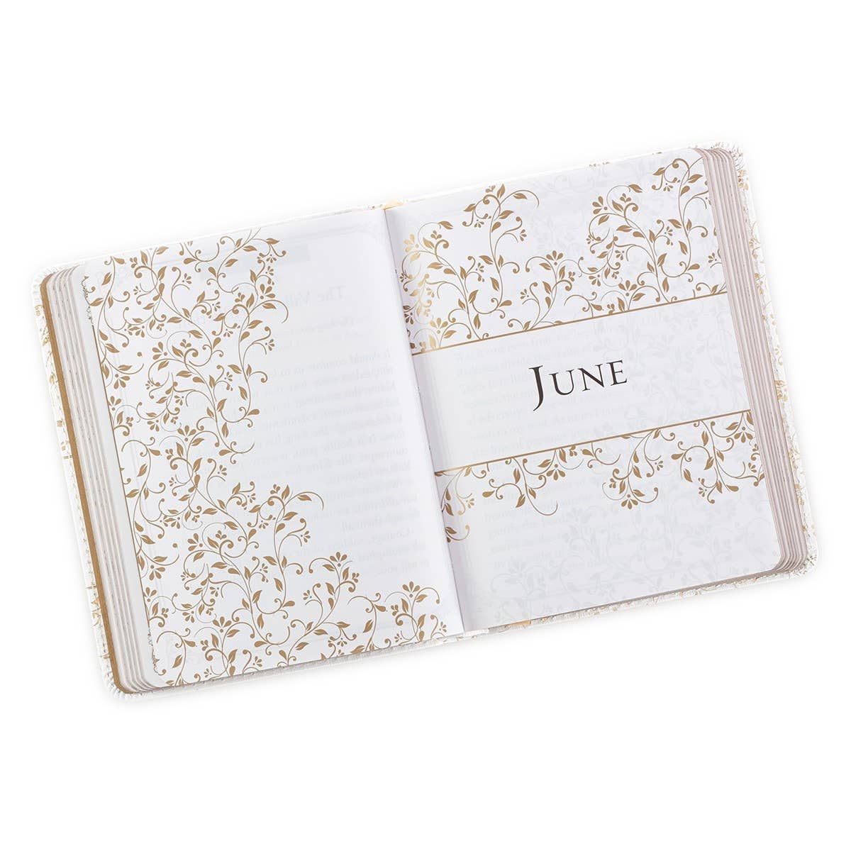 Morning One-Minute Devotions