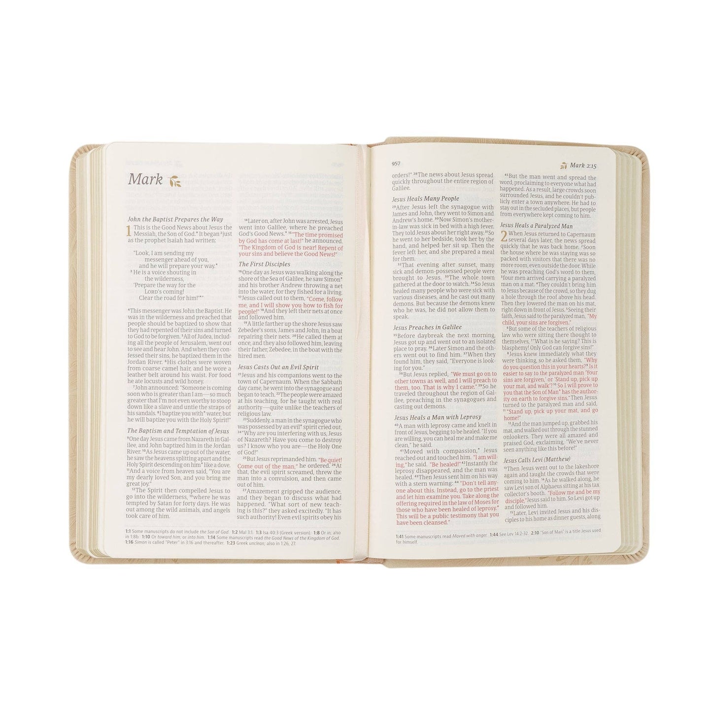 NLT Compact Bible: Sonora