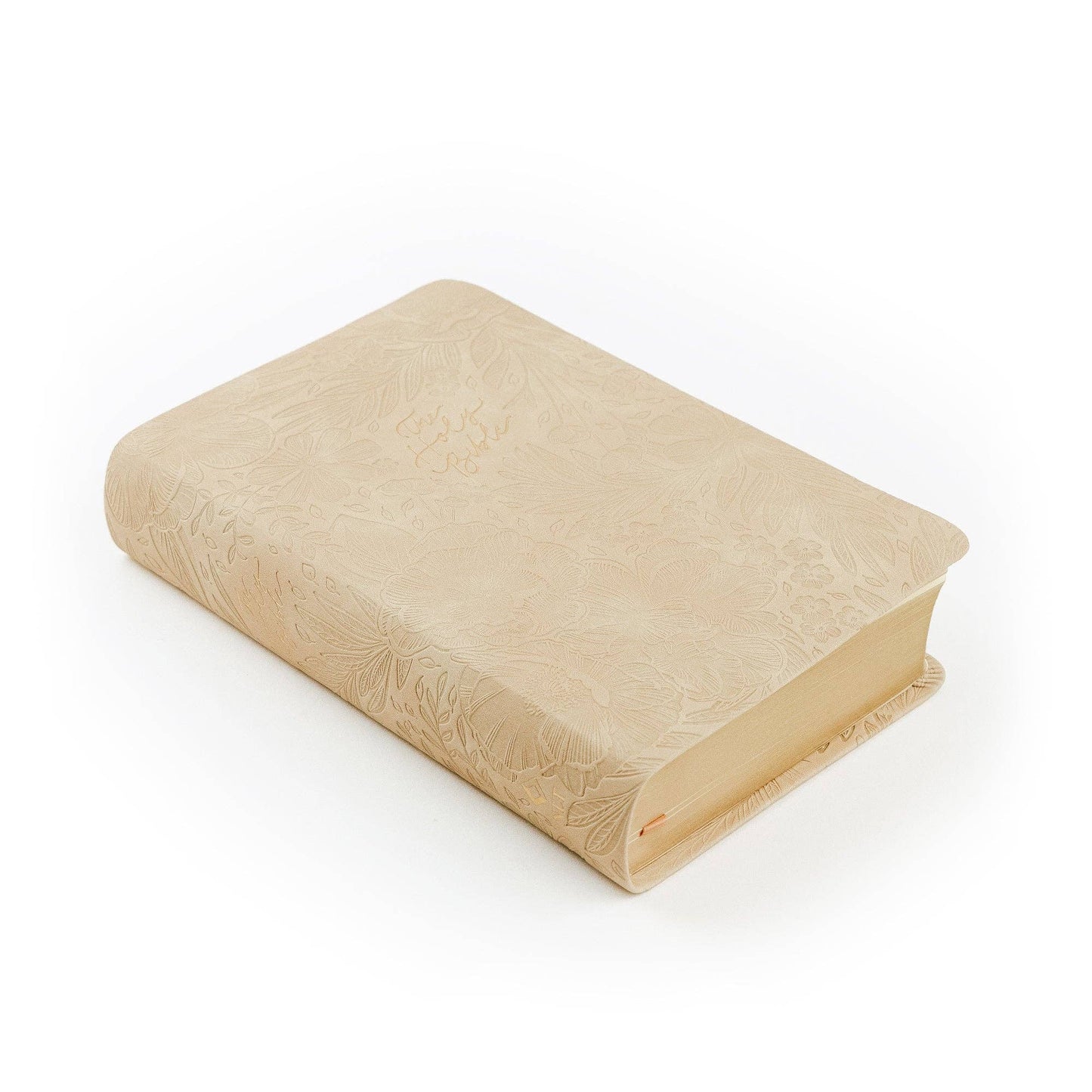 NLT Compact Bible: Sonora