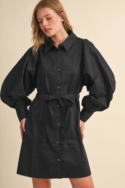 Reputation Dress