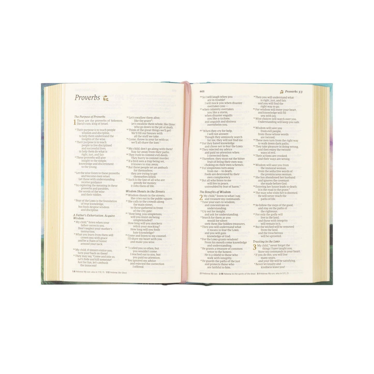 NLT Compact Bible: Prairie