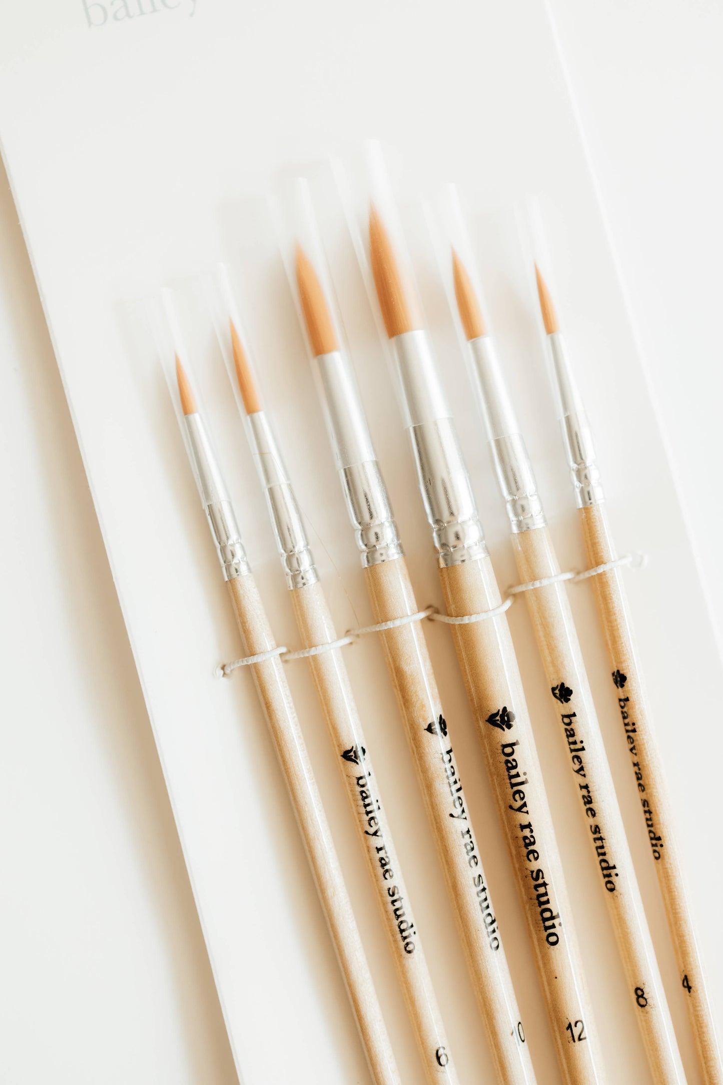 Round Tip Watercolor Brush Set 6 piece