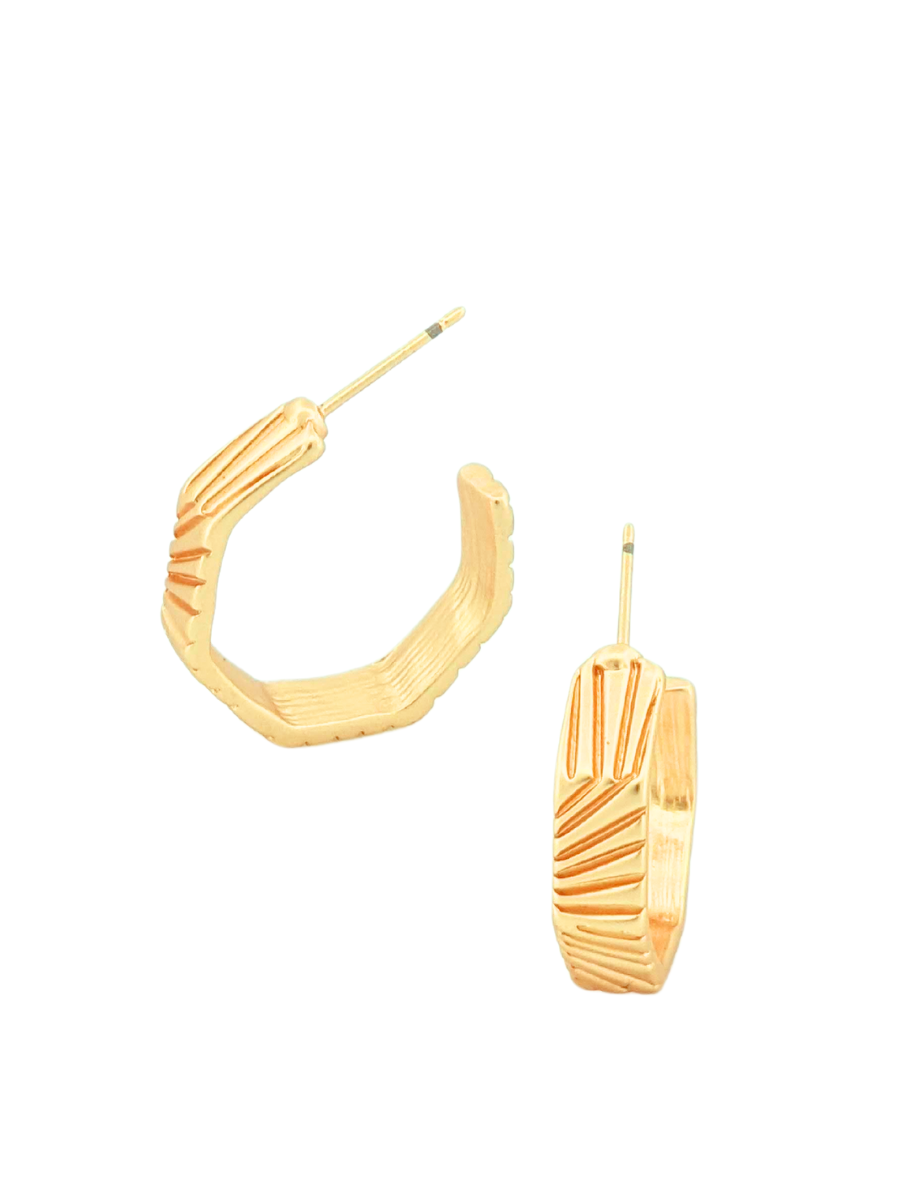 Sheena Earrings: MATTE GOLD